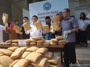 BNN Banten Ungkap Pengiriman Ganja 335 Kg Via Kargo BNN Banten Ungkap Pengiriman Ganja 335 Kg Via Kargo