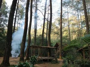 Rumah Pohon dan Rusa Tutul di Masigit Kareumbi, Bandung