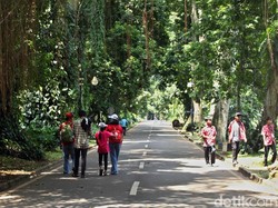 Yang Spesial dari Kebun Raya Bogor Saat Libur Lebaran 2021