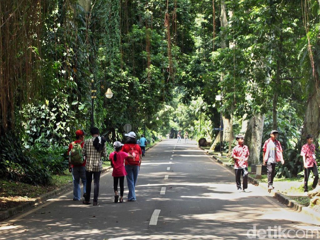 Terpopuler: Wisata Ramah Kantong di Bogor dan Neraka Dunia di Kamboja Terpopuler: Wisata Ramah Kantong di Bogor dan Neraka Dunia di Kamboja