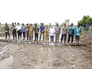 Kalsel Diproyeksikan Jadi Lumbung Pangan Luar Jawa Kalsel Diproyeksikan Jadi Lumbung Pangan Luar Jawa