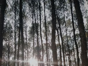 Mengejar mimpi