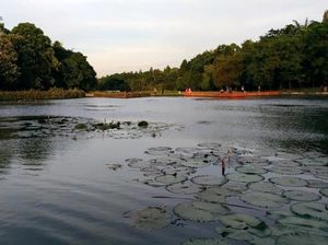 Ada Danau Dora di Kawasan LIPI Cibinong, Sudah Tahu?
