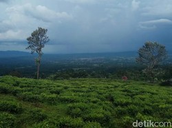 Suara Dentuman Misterius Terdengar Lagi di Sumatera Selatan