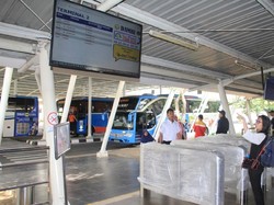 Naik Bus Bandara di Terminal 2 Soetta Kini Lebih Mudah dan Nyaman