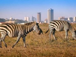 Gile Bener! Kenya Berencana Bangun PLT Nuklir Pertama di Situs UNESCO