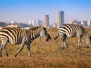 Gile Bener! Kenya Berencana Bangun PLT Nuklir Pertama di Situs UNESCO Gile Bener! Kenya Berencana Bangun PLT Nuklir Pertama di Situs UNESCO