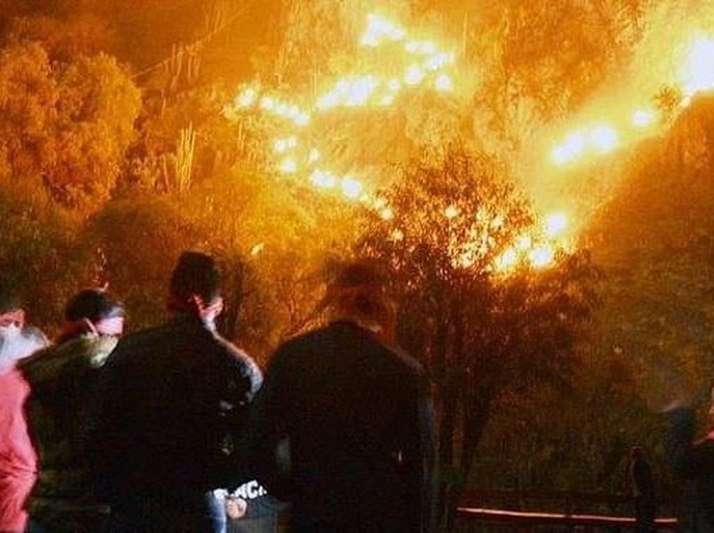 Taman Rekreasi Ini Tawarkan Sensasi jadi Imigran Gelap Taman Rekreasi Ini Tawarkan Sensasi jadi Imigran Gelap