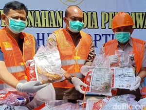 Paket Bibit Tanaman Tak Berizin Dimusnahkan Balai Karantina Kediri Paket Bibit Tanaman Tak Berizin Dimusnahkan Balai Karantina Kediri