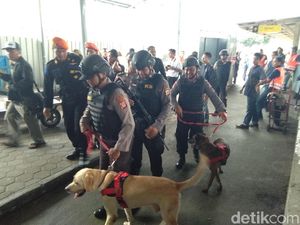 Selama Libur Akhir Tahun, Anjing Pelacak Disiagakan di Stasiun Yogya