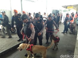 Selama Libur Akhir Tahun, Anjing Pelacak Disiagakan di Stasiun Yogya