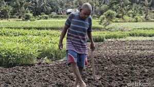 Momentum Deklarasi Hak Petani di Indonesia