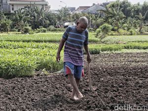 Momentum Deklarasi Hak Petani di Indonesia