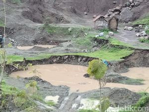 Komnas HAM Minta KPK Selidiki Korupsi di Masalah Lubang Tambang Kalimantan