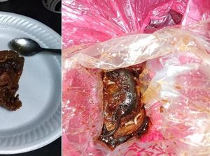 Niat Makan Ayam Kecap, Pengunjung Ini Dapat Bonus Bayi Tikus Mati!