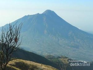 Petualangan Menanjak Gunung Merbabu Saat Kemarau