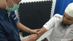 Buuzzz! Mengintip Proses Terapi Dientup Lebah
