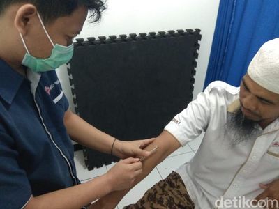 Buuzzz! Mengintip Proses Terapi Dientup Lebah