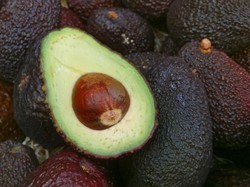 Nggak Nyangka, Ekstrak Biji Alpukat Bisa Kurangi Radang