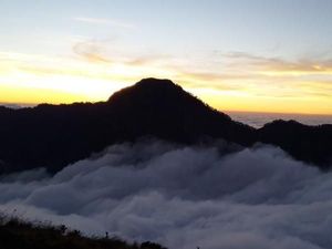 Padang Savana di Gunung Rinjani NTB Terbakar