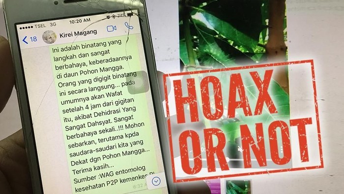 Ulat bulu memang beracun tetapi jenis yang ini tidak hingga mematikan (Foto: detikHealth) Ulat bulu memang beracun tetapi jenis yang ini tidak hingga mematikan (Foto: detikHealth)