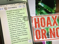 Broadcast Ulat Pohon Mangga Mematikan Beredar Lagi, Ahli Beri Faktanya