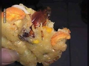 Iiih Jijik! Puntung Rokok hingga Kecoa Masuk Dalam Gorengan