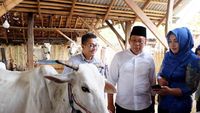 Keren! Pantau Peternakan Kini Bisa Lewat Aplikasi