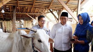 Keren! Pantau Peternakan Kini Bisa Lewat Aplikasi