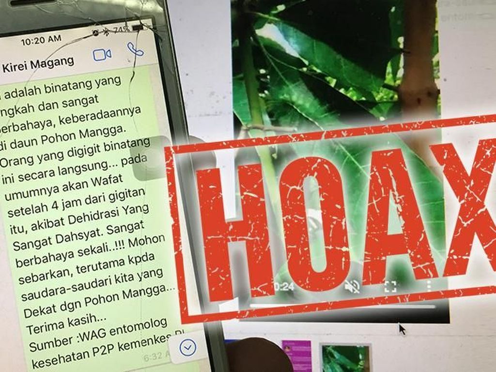 Tanggapi Hoax Ulat Pohon Mangga yang Mematikan, Ahli Zoologi Bagikan Tips Tanggapi Hoax Ulat Pohon Mangga yang Mematikan, Ahli Zoologi Bagikan Tips