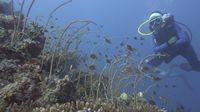 Foto: Kepulauan Selayar Seindah Surga