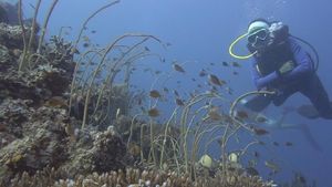 Foto: Kepulauan Selayar Seindah Surga