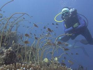 Foto: Kepulauan Selayar Seindah Surga