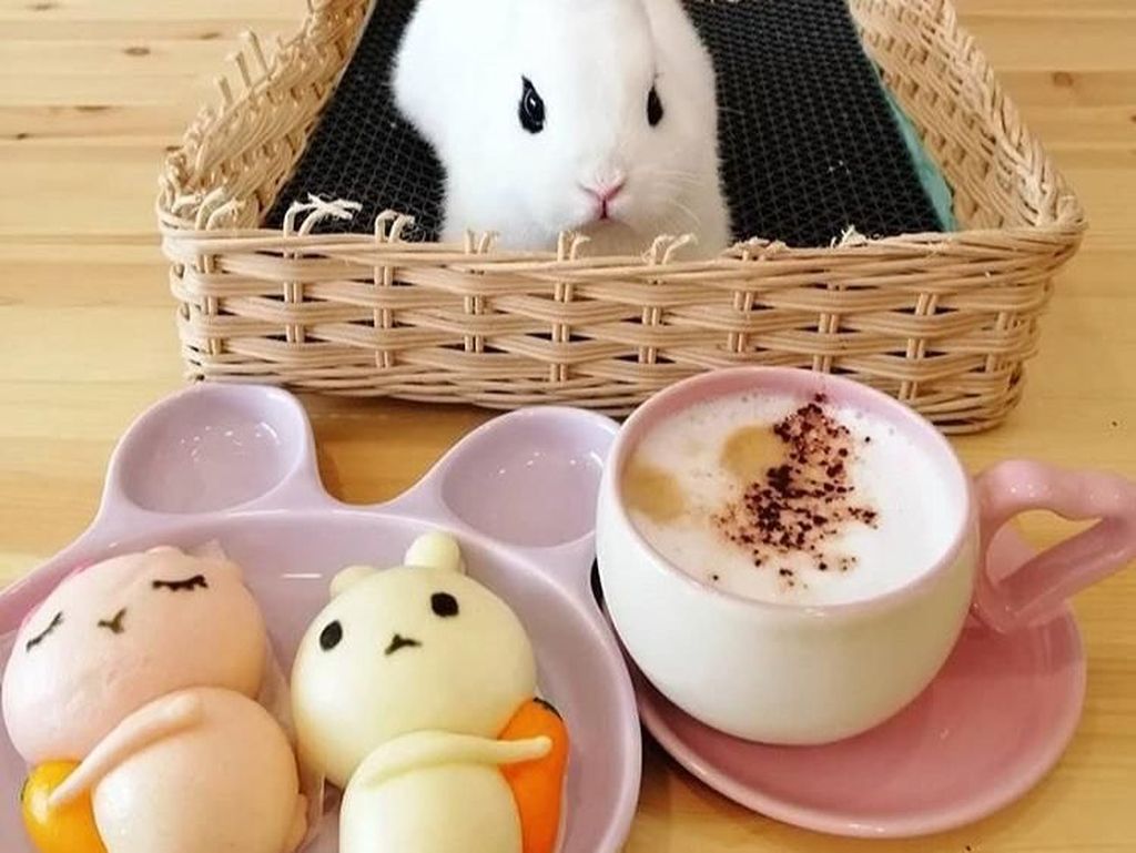 Yuk, Ajak Si Kecil Makan Sambil Main Bareng Penguin dan Kelinci! Yuk, Ajak Si Kecil Makan Sambil Main Bareng Penguin dan Kelinci!