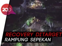 Penampakan Terkini Jalan Gubeng dari Lensa Drone