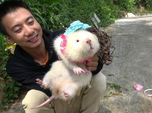 Dua Petani Ini Jadi Terkenal Setelah Buat Vlog Menyantap Tikus Bambu