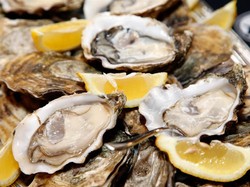 Viral Pria Tewas Setelah Makan Oyster Mentah, Ini Awal Mulanya