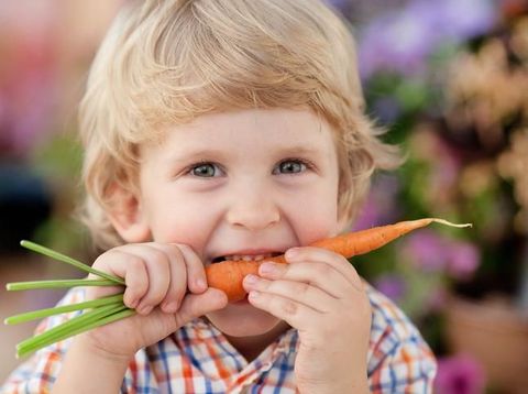 6 Trik Mengajari Si Kecil Suka Makan Sayur Tanpa 'Drama'