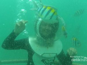 Merasakan Tekanan Air Begitu Hebat Saat Berjalan di dalam Laut Merasakan Tekanan Air Begitu Hebat Saat Berjalan di dalam Laut