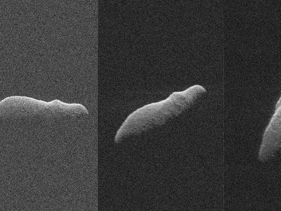 Penampakan Asteroid yang Seperti Kuda Nil Luar Angkasa