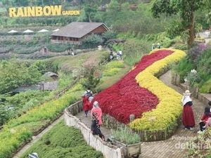Terpikat Rainbow Garden Lembang Bandung Terpikat Rainbow Garden Lembang Bandung