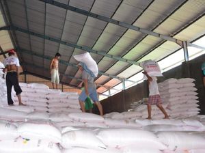 Harga Sawit Naik, Stok Bahan Baku Pupuk Tahun Depan Aman?