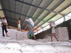 Harga Sawit Naik, Stok Bahan Baku Pupuk Tahun Depan Aman?