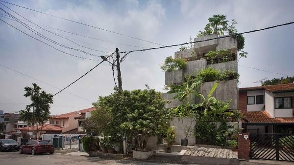 Rumah Ini Ditanami Tumbuhan yang Bisa Dimakan