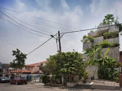 Rumah Ini Ditanami Tumbuhan yang Bisa Dimakan