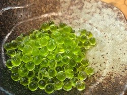 Unik! Wasabi Kini Berbentuk Mutiara Hijau yang Cantik