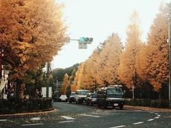 Musim Gugur yang Indah Nian di Jepang
