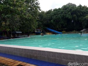 Tertimpa Pohon Saat Wisata, Satu Bocah Meninggal dan Satu Kritis