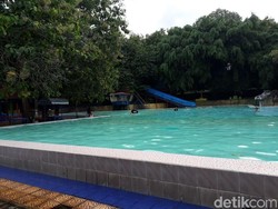 Tertimpa Pohon Saat Wisata, Satu Bocah Meninggal dan Satu Kritis