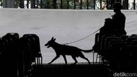 Polisi Bersenjata dan Anjing Pelacak Sisir Katedral